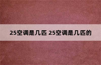 25空调是几匹 25空调是几匹的